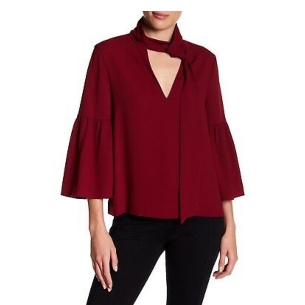 NWT BCBGMAXARIA Mellie Blouse in a beautiful color